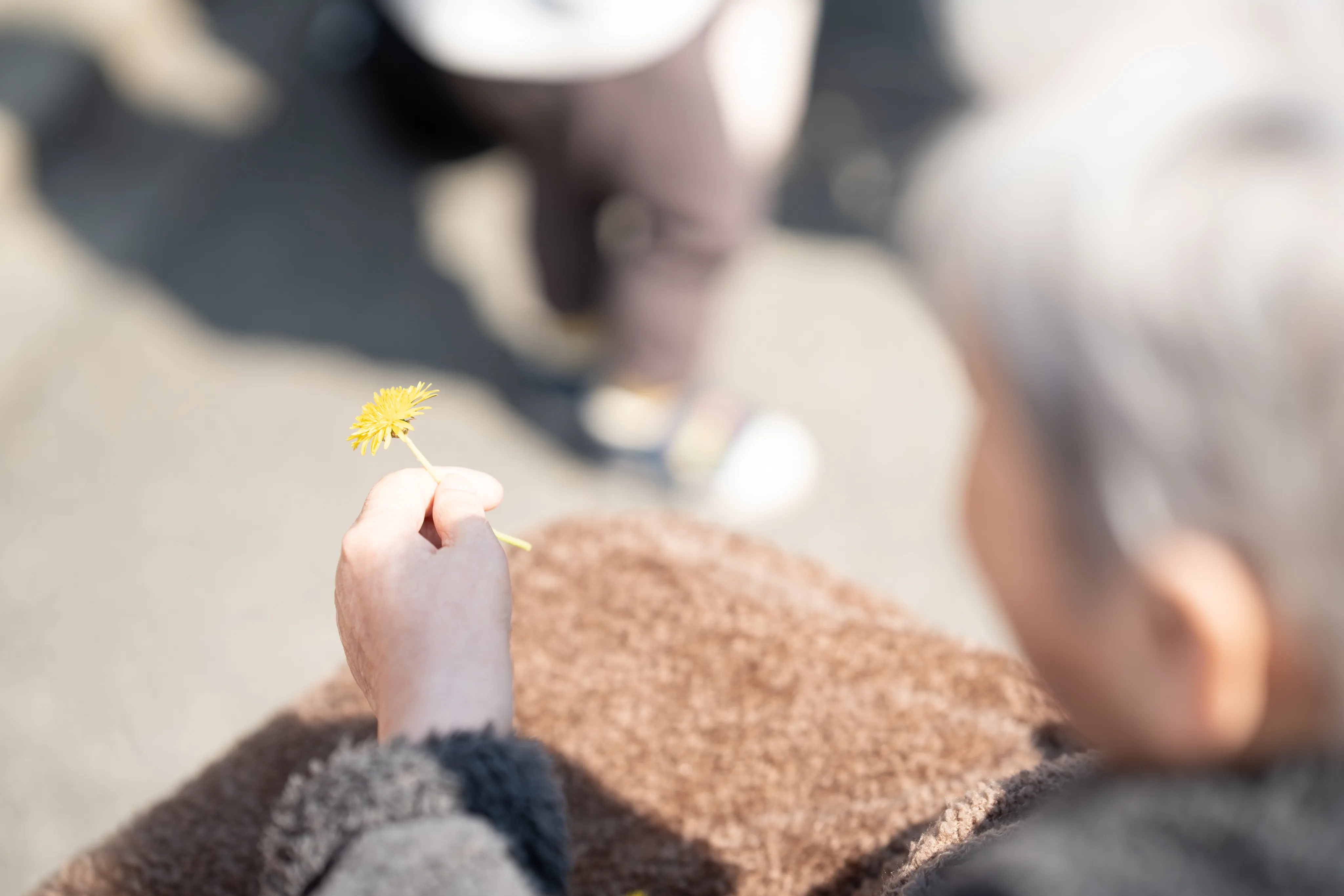 手元の花